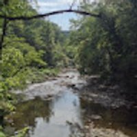 Avatar photo
